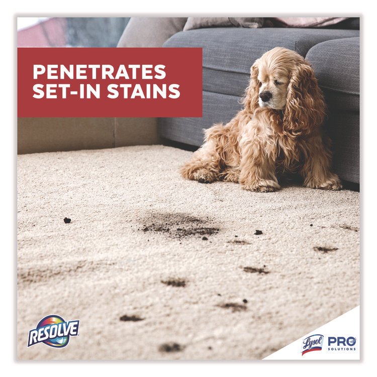 Professional RESOLVE® Spot & Stain Carpet Cleaner - Image 4