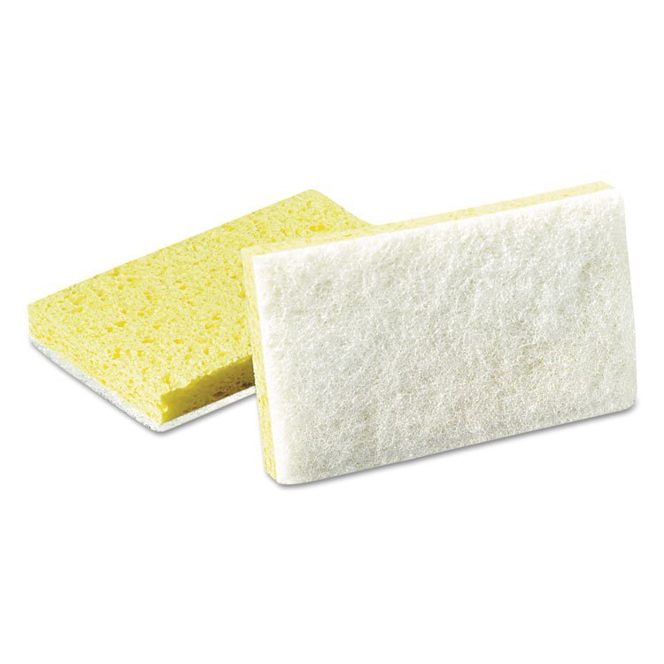 Scotch-Brite™ PROFESSIONAL Light-Duty Scrubbing Sponge