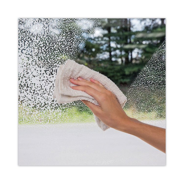 WEIMAN® Foaming Glass Cleaner - Image 5